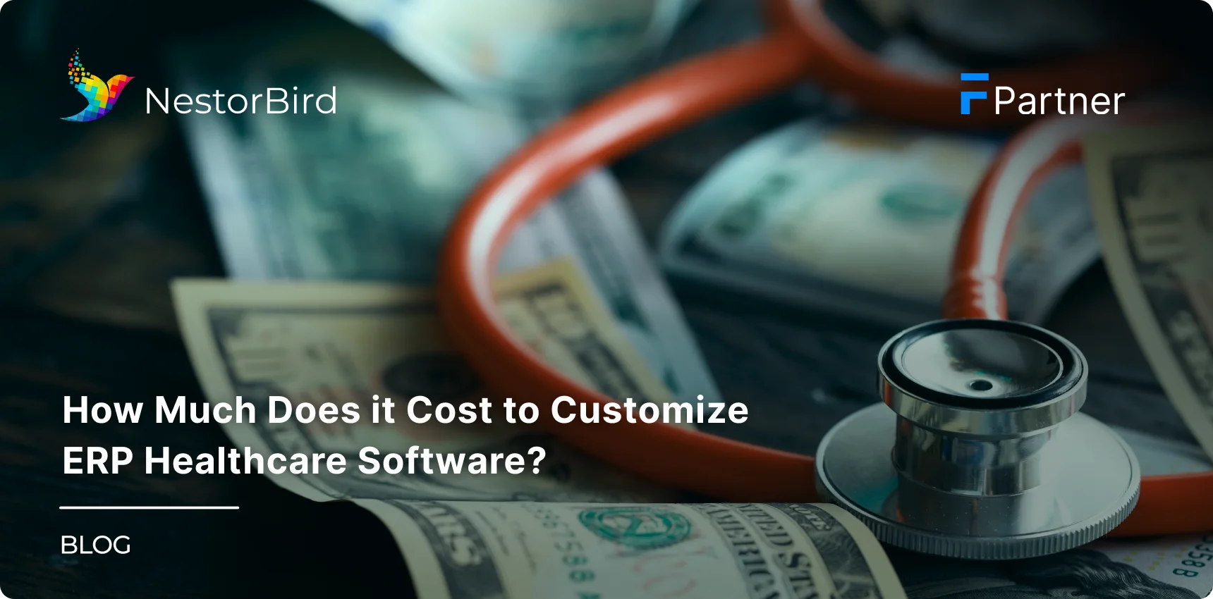 How Much Does It Cost to Customize ERP Healthcare Software?