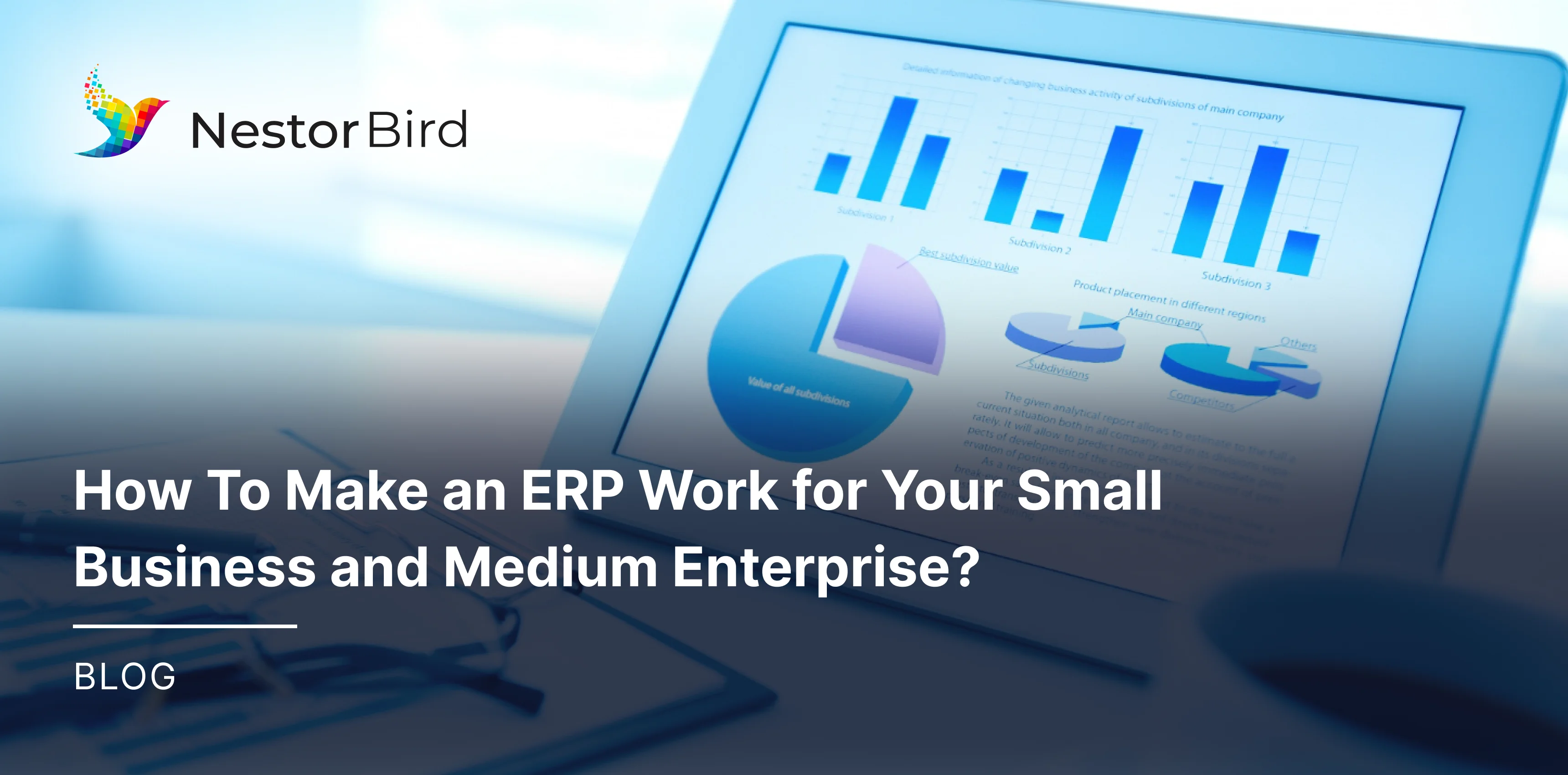 How To Make an ERP Work for Your Small Business and Medium Enterprise?