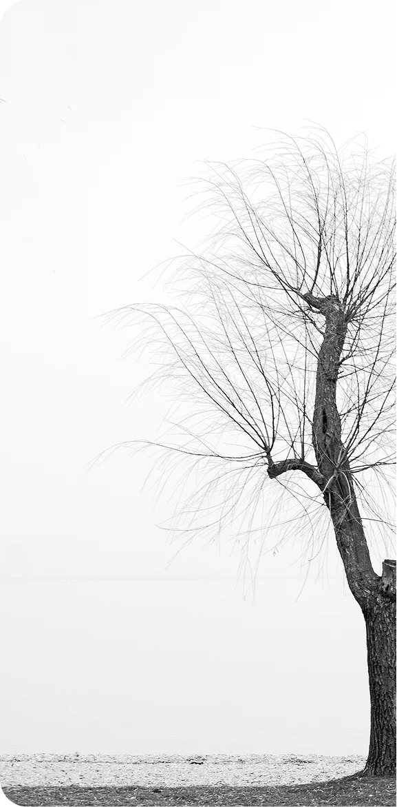 NestorBird ERP Solution