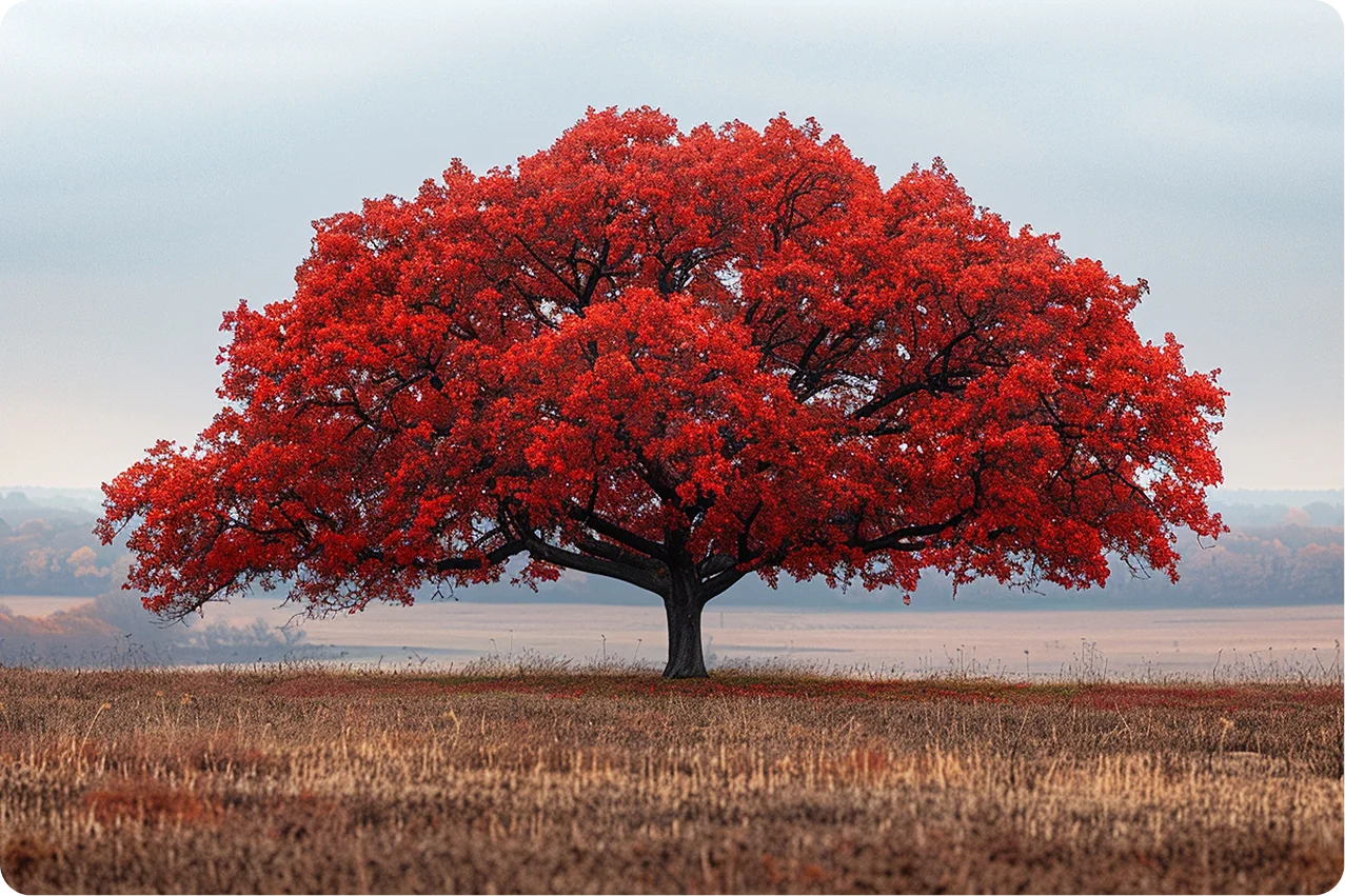 NestorBird ERP Solution