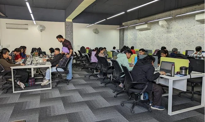 NestorBird Lifestyle