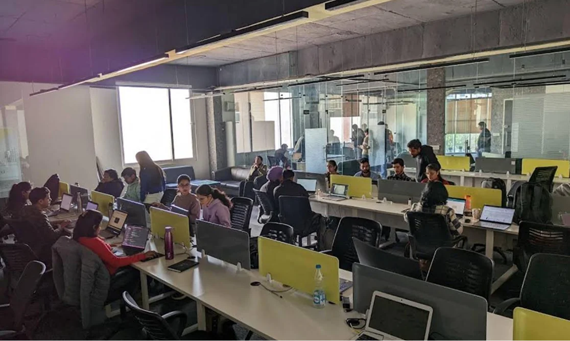 NestorBird Lifestyle