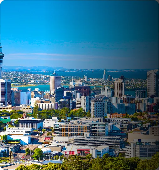 NestorBird ERP Solution