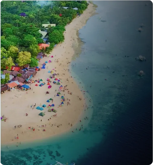 NestorBird ERP Solution