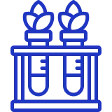 Icons NestorBird